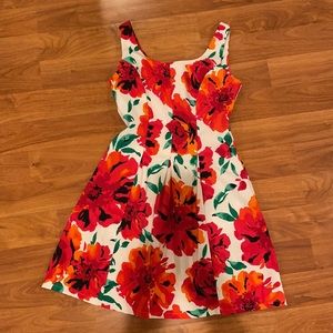 Floral A-Line Dress - Perfect for Spring!